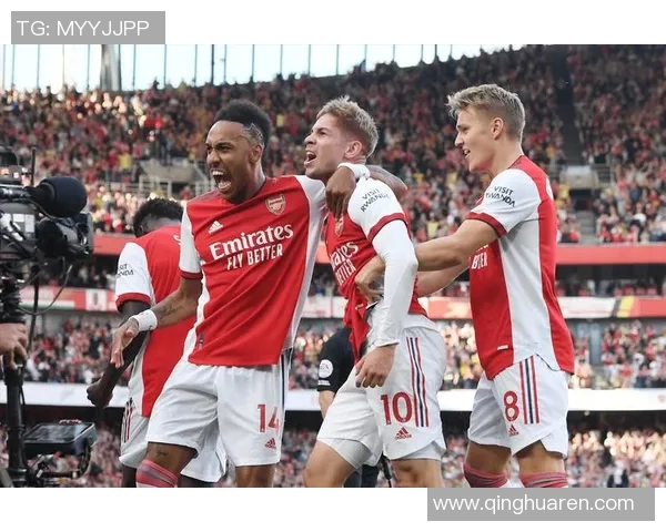 阿森纳的荷兰足球明星们如何在英超赛场上书写传奇篇章